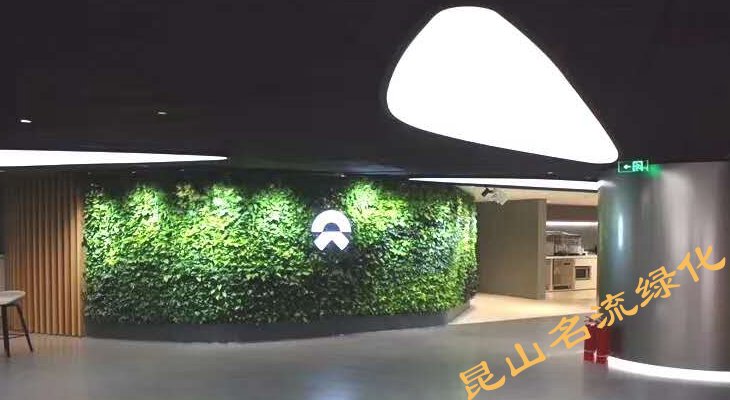 昆山垂直绿化植物墙
