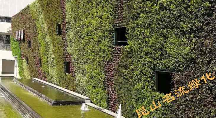 昆山绿化墙植物墙